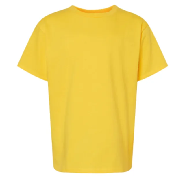 Gildan Youth Softstyle® Midweight T-Shirt (65000B) — custom decorated by Black Sheep Designs